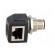 Adapter | RJ45 socket,M12 male | D code-Ethernet | PIN: 4 | Cat: 5e фото 9