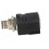 Adapter | RJ45 socket,M12 male | D code-Ethernet | PIN: 4 | straight paveikslėlis 7