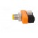 T adapter | M12 male,M12 female x2 | A code-DeviceNet / CANopen paveikslėlis 3