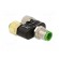 T adapter | M12 male,M12 female x2 | A code-DeviceNet / CANopen image 4