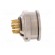 Connector: M16 | socket | female | soldering | PIN: 14 | 3A | 60V | IP68 paveikslėlis 7