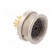 Connector: M16 | socket | female | soldering | PIN: 14 | 3A | 60V | IP68 image 8