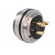 Connector: M16 | socket | female | soldering | PIN: 3 | 7A | 250V | straight paveikslėlis 4