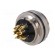 Connector: M16 | socket | female | soldering | PIN: 6 | 5A | 125V | straight фото 6