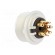 Connector: M16 | socket | female | soldering | PIN: 7 | 5A | 60V | IP40 image 4