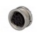 Connector: M16 | socket | female | soldering | PIN: 8 | 5A | 100V | IP40 фото 2