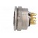 Connector: M16 | socket | female | soldering | PIN: 8 | 5A | 60V | IP68 фото 3