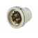 Connector: M16 | socket | male | soldering | PIN: 4 | 5A | 250V | IP40 image 6