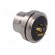 Connector: M16 | socket | male | soldering | PIN: 4 | 7A | 250V | straight paveikslėlis 4