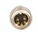 Connector: M16 | socket | male | soldering | PIN: 5 | 5A | 250V | IP40 image 5