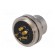 Connector: M16 | socket | male | soldering | PIN: 5 | 6A | 250V | straight image 6