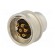 Connector: M16 | socket | male | soldering | PIN: 6 | 5A | 250V | IP40 фото 6
