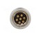Connector: M16 | socket | male | soldering | PIN: 7 | 5A | 250V | IP40 image 5