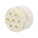 Connector: M23 | contact insert | PIN: 7 | male | for cable image 1