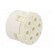 Connector: M23 | contact insert | PIN: 7 | male | for cable paveikslėlis 8