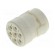 Connector: M23 | contact insert | PIN: 7 | female | for cable image 1