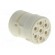 Connector: M23 | contact insert | PIN: 7 | female | for cable paveikslėlis 8