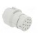 Connector: M23 | contact insert | PIN: 12 | female | crimped | 200V | 8A фото 8