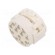 Connector: M23 | contact insert | PIN: 12 | male | for cable | 8A | 200V paveikslėlis 2
