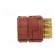 Connector: M23 | contact insert | PIN: 16 | soldering | 7A | 100V image 3