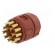 Connector: M23 | contact insert | PIN: 16 | soldering | 7A | 100V paveikslėlis 6
