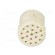 Connector: M23 | contact insert | PIN: 19(3+16) | female | crimped paveikslėlis 9