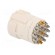 Connector: M23 | PIN: 19(3+16) | female | soldering | 100V | Inom 1: 10A image 4