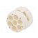 Connector: M23 | contact insert | PIN: 7 | male | crimped | w/o contacts image 6