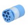 Connector: M23 | contact insert | PIN: 8(4+4) | male | for cable paveikslėlis 2