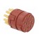 Connector: M23 | contact insert | PIN: 17 | soldering | 7A | 50V image 4