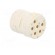 Connector: M23 | contact insert | PIN: 6 | female | crimped | 300V | 20A image 8