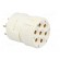 Connector: M23 | contact insert | PIN: 7 | female | soldering | 300V | 20A image 8