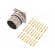 Connector: M23 | socket | PIN: 12 | female | crimped | straight | 10A | IP67 фото 1