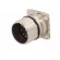 Connector: M23 | socket | PIN: 12 | male | crimped | straight | 10A | IP67 image 2