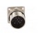 Connector: M23 | socket | PIN: 12 | male | crimped | straight | 10A | IP67 paveikslėlis 9