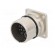 Connector: M23 | socket | PIN: 17 | female | crimped | straight | 9A | IP67 image 6