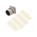 Connector: M23 | socket | PIN: 17 | male | crimped | straight | 9A | IP67 image 1