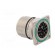 Connector: M23 | socket | PIN: 17 | male | crimped | straight | 9A | IP67 image 4