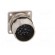 Connector: M23 | socket | PIN: 17 | male | crimped | straight | 9A | IP67 paveikslėlis 9