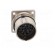 Connector: M23 | socket | PIN: 17 | male | crimped | straight | 9A | IP67 image 9