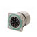 Connector: M23 | socket | PIN: 17 | male | crimped | straight | 9A | IP67 paveikslėlis 6