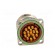 Connector: M23 | socket | PIN: 17 | male | soldering | straight | 7A | IP68 paveikslėlis 5