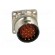 Connector: M23 | socket | PIN: 17 | male | soldering | straight | 7A | IP68 paveikslėlis 9