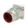 Connector: M23 | socket | PIN: 8(4+4) | male | crimped | straight | IP68 image 2