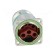 Connector: M23 | socket | PIN: 8(4+4) | male | crimped | straight | IP68 paveikslėlis 5