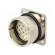 Connector: M27 | ZYLIN | socket | female | soldering | PIN: 21 | IP67 | 1mm2 фото 1