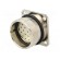 Connector: M27 | ZYLIN | socket | female | soldering | PIN: 21 | IP67 | 1mm2 image 2