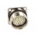 Connector: M27 | ZYLIN | socket | female | soldering | PIN: 26 | IP67 | 1mm2 image 9