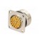 Connector: M27 | ZYLIN | socket | female | soldering | PIN: 26 | IP67 | 1mm2 image 6