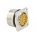 Connector: M27 | ZYLIN | socket | male | soldering | PIN: 21 | IP67 | 1mm2 paveikslėlis 4